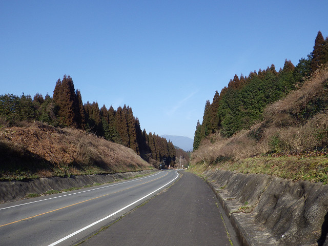 e0305733_8562550.jpg