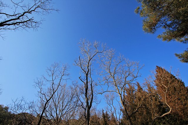 a0242438_15334935.jpg