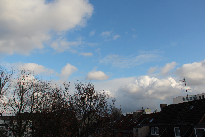 c0153740_141225.jpg