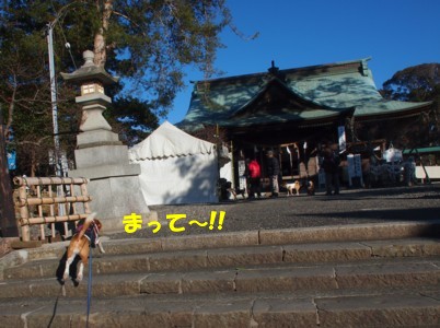c0119142_526266.jpg