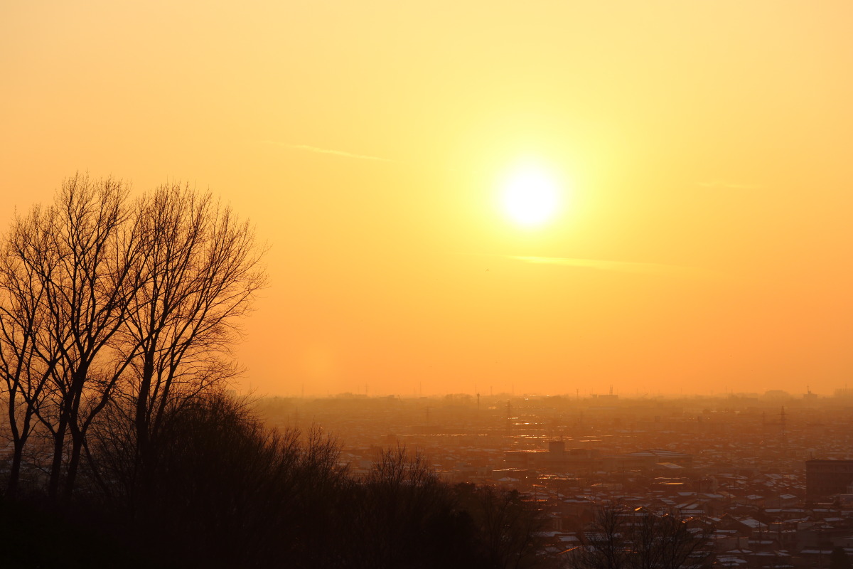 d0135242_2015413.jpg