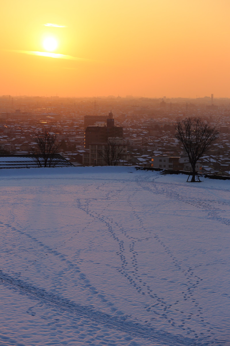 d0135242_2016569.jpg