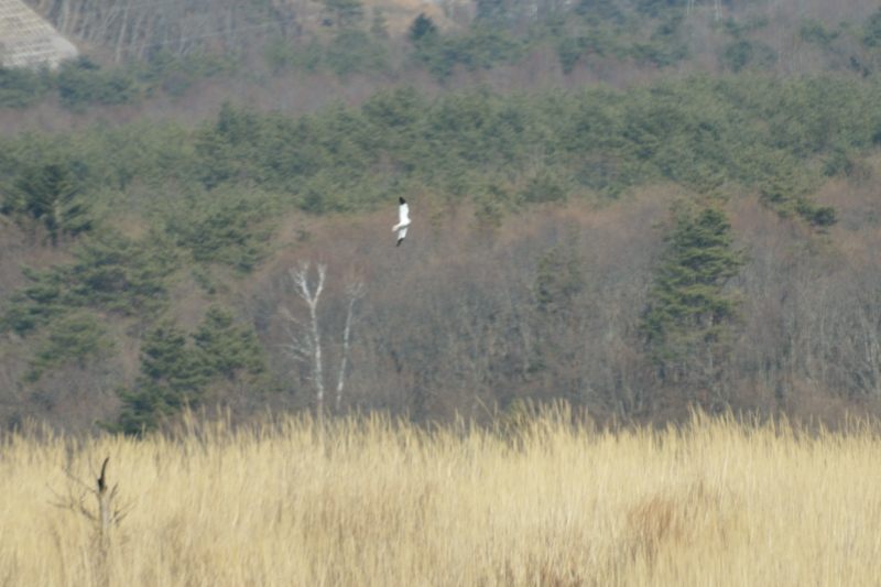 b0036743_1892640.jpg