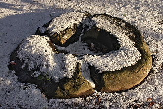 c0180845_1013960.jpg