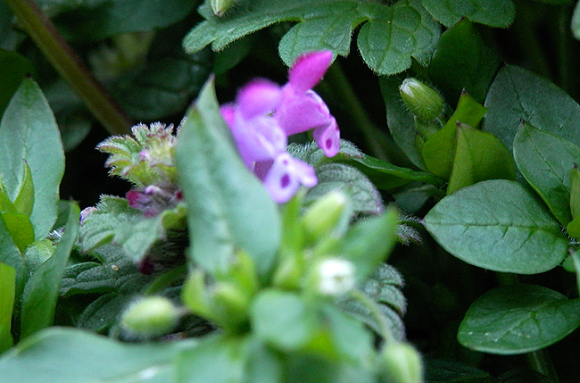f0214649_9104911.jpg