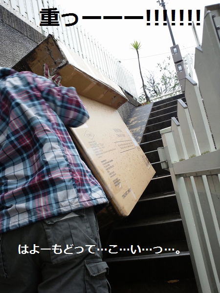a0090451_16421768.jpg