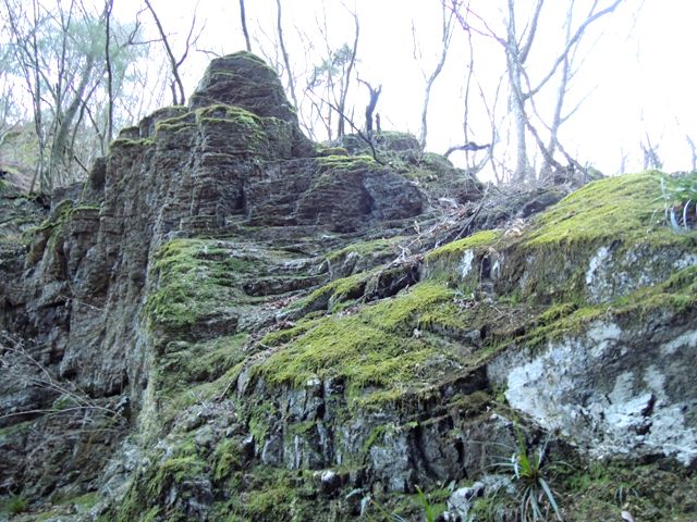 b0173754_1863313.jpg