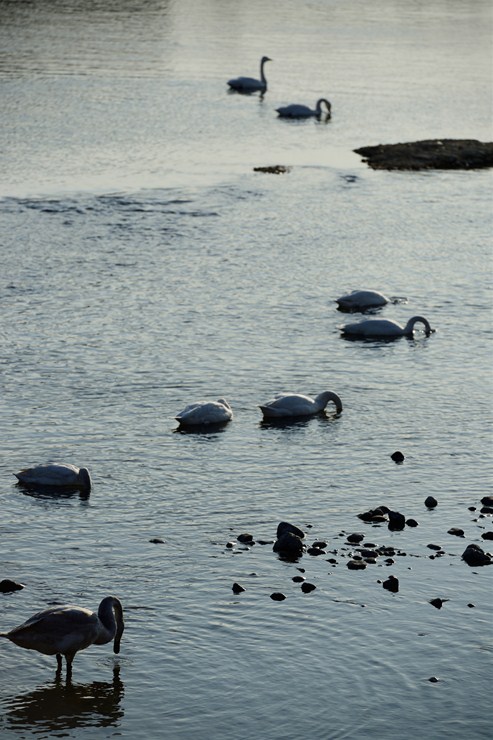 f0222161_2247513.jpg