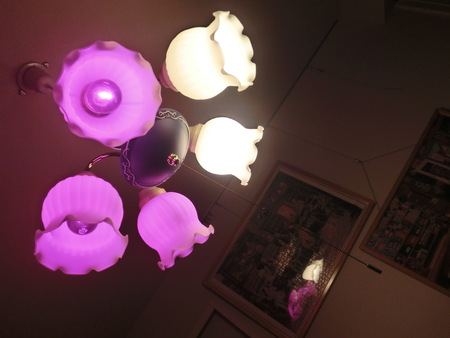 b0190666_23212410.jpg