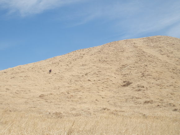 c0042869_9295849.jpg