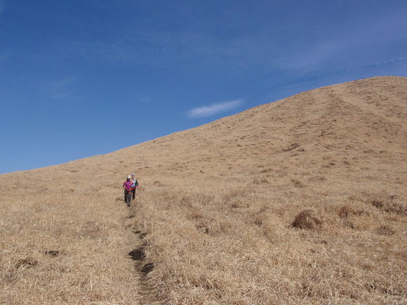 c0042869_9335997.jpg