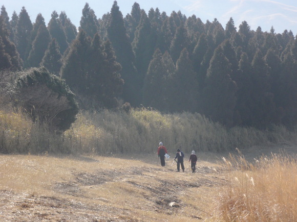 c0042869_974575.jpg