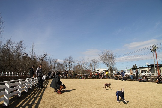 e0062371_2195081.jpg