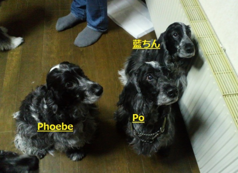 f0186476_19225352.jpg