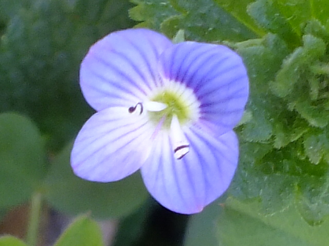 e0145782_15501156.jpg