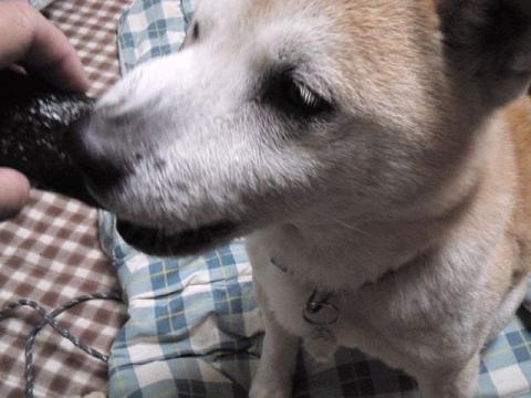 c0123890_21215620.jpg