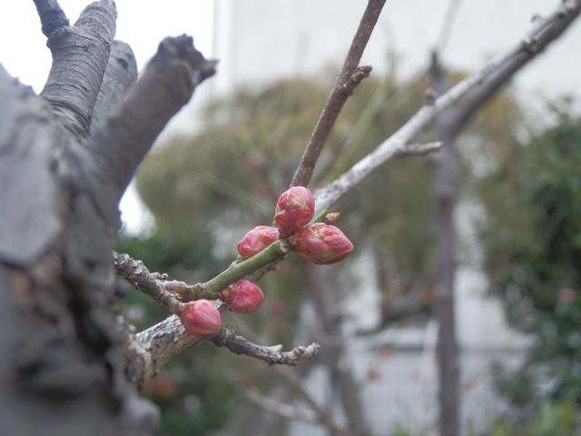 f0130894_2271813.jpg