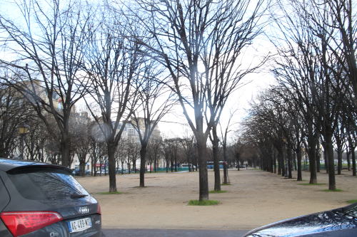 c0090198_328564.jpg