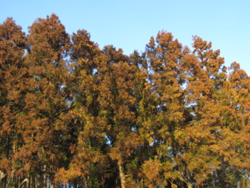 a0117599_2318436.jpg