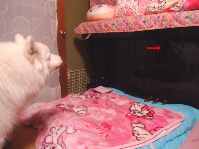 e0018604_20201077.jpg