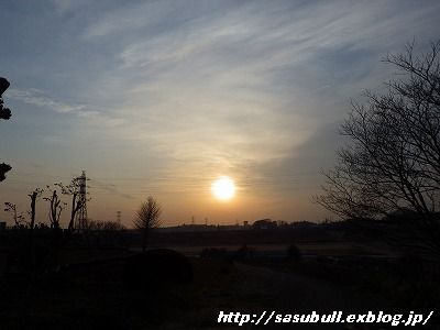 e0145805_16363972.jpg