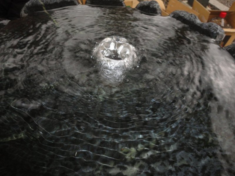 f0231709_20284532.jpg