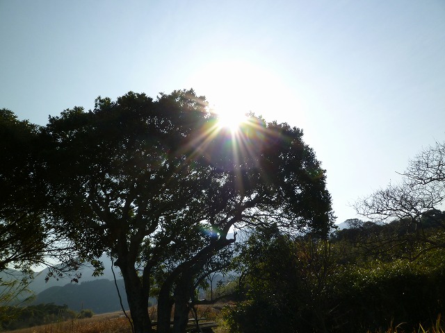 d0037110_1830914.jpg