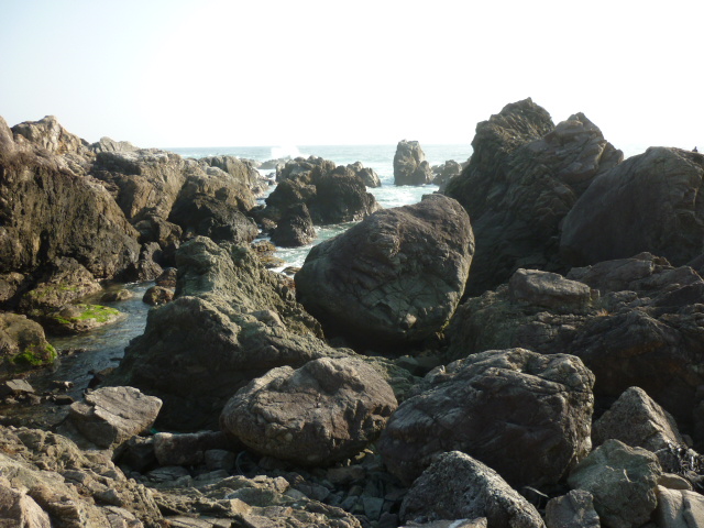 d0178017_117162.jpg