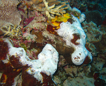 f0041021_20473524.jpg