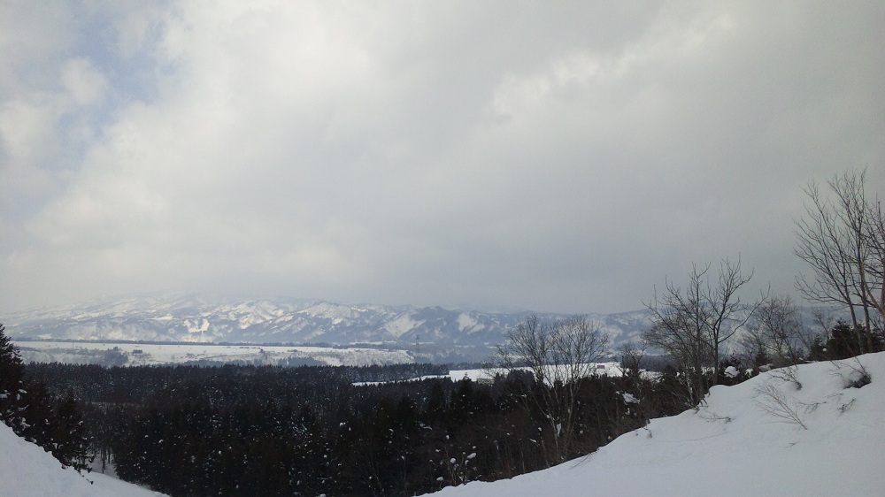 b0199924_1428332.jpg