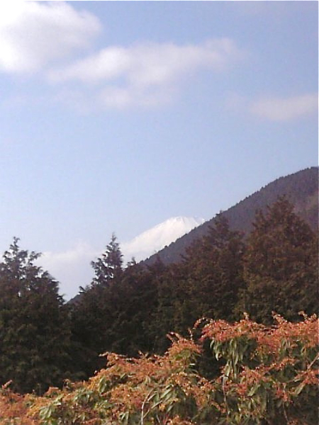 f0060535_183384.jpg