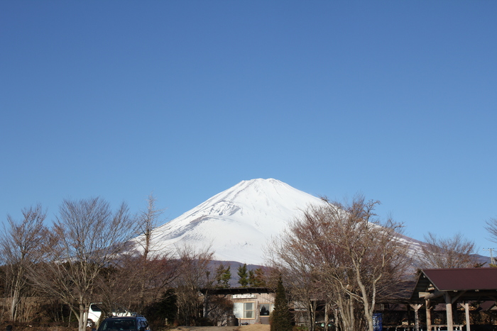 f0248635_16523338.jpg