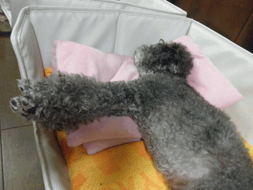 c0136736_9401256.gif