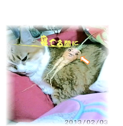 e0255638_14354119.png
