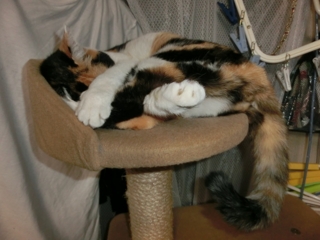 c0194042_20332852.jpg