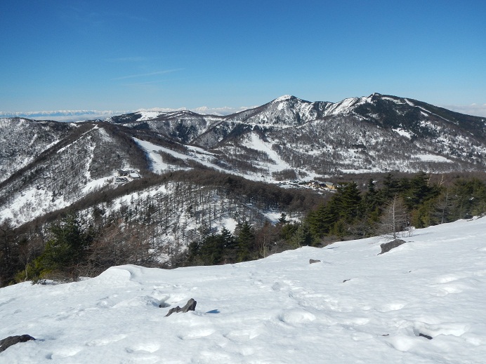 e0272042_2072161.jpg