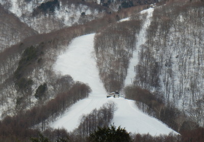 a0142343_1028348.jpg