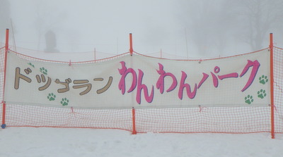 a0142343_10351480.jpg