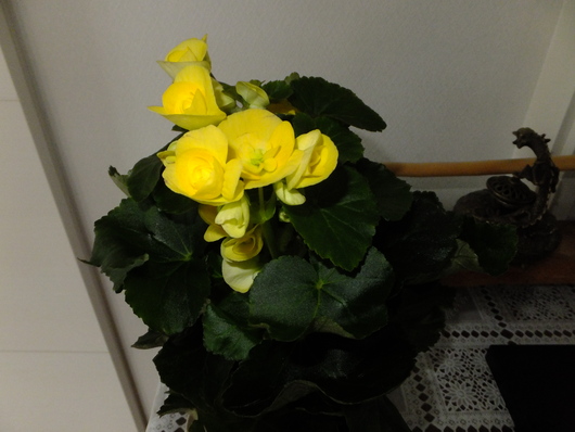 c0153444_1620067.jpg