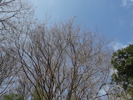 a0237349_102635.jpg