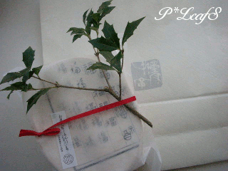 c0176651_9543492.gif