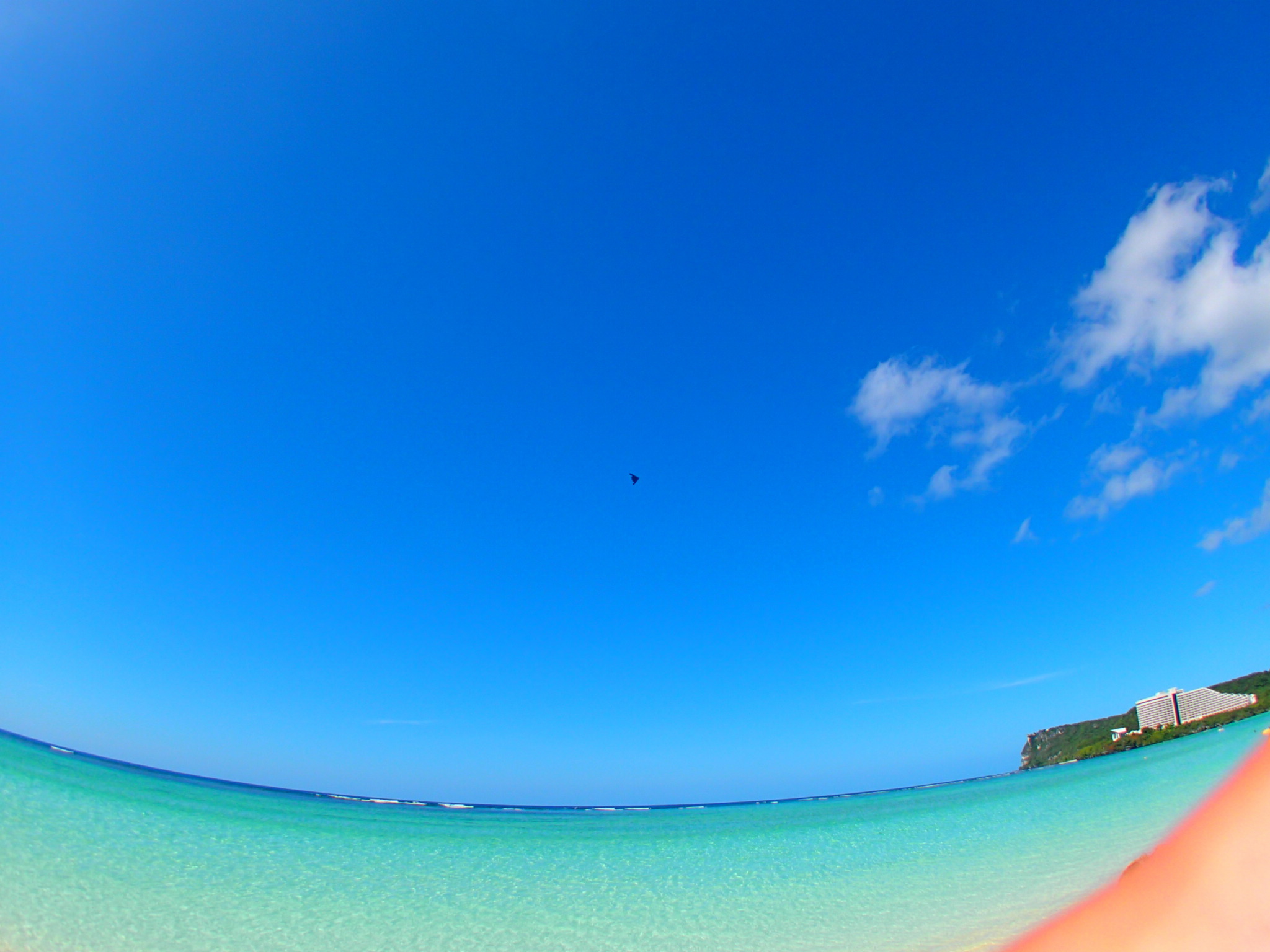 e0051651_10562596.jpg