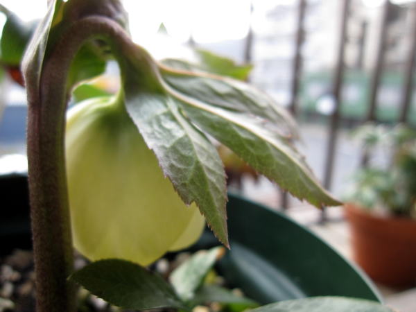 c0147952_20393920.jpg