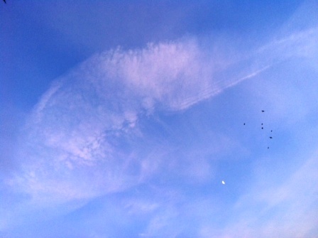 b0173754_342340.jpg