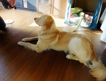 c0097558_2494059.jpg