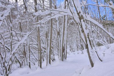 b0063468_0384759.jpg