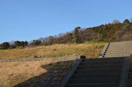 b0218371_19405779.jpg