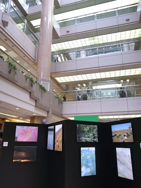 b0247073_23315266.jpg
