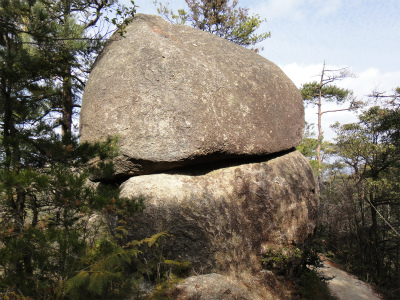 d0182075_54597.jpg