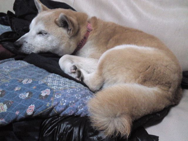c0123890_2134936.jpg